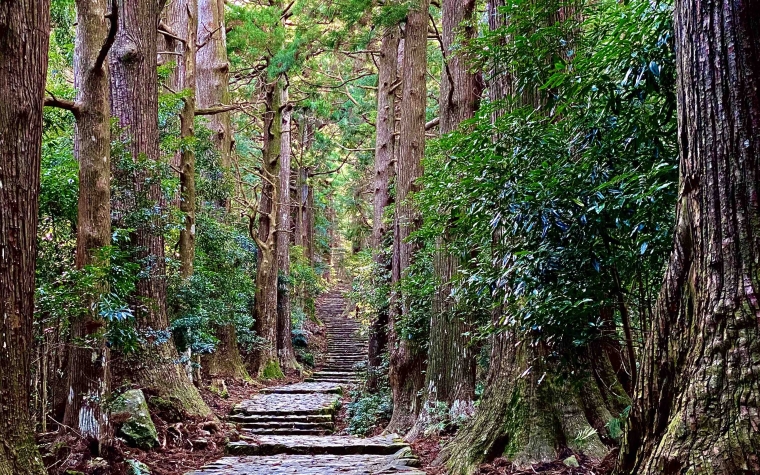 The atmospheric entrance to the Kumano Kodo pathway. We hiked the ancient Kumano trails in between playing golf in Wakayama, Japan.