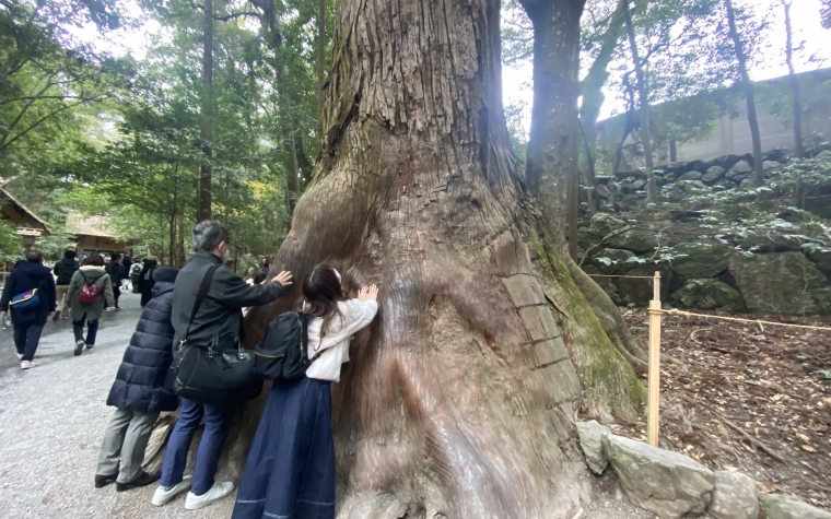 Tourists surrounding an ancient tree at the Ise Jingu in Mie prefecture, Japan